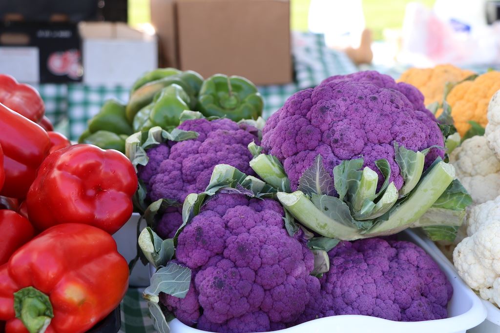 Market Sample Pictures