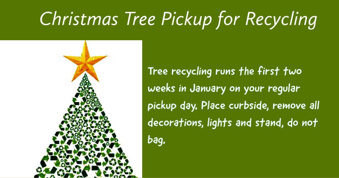 415187883_677687194534497_9071370985572748471_n