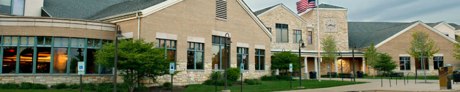 Ela Township Library